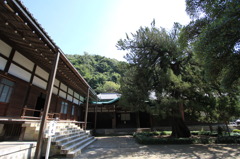 079 円覚寺