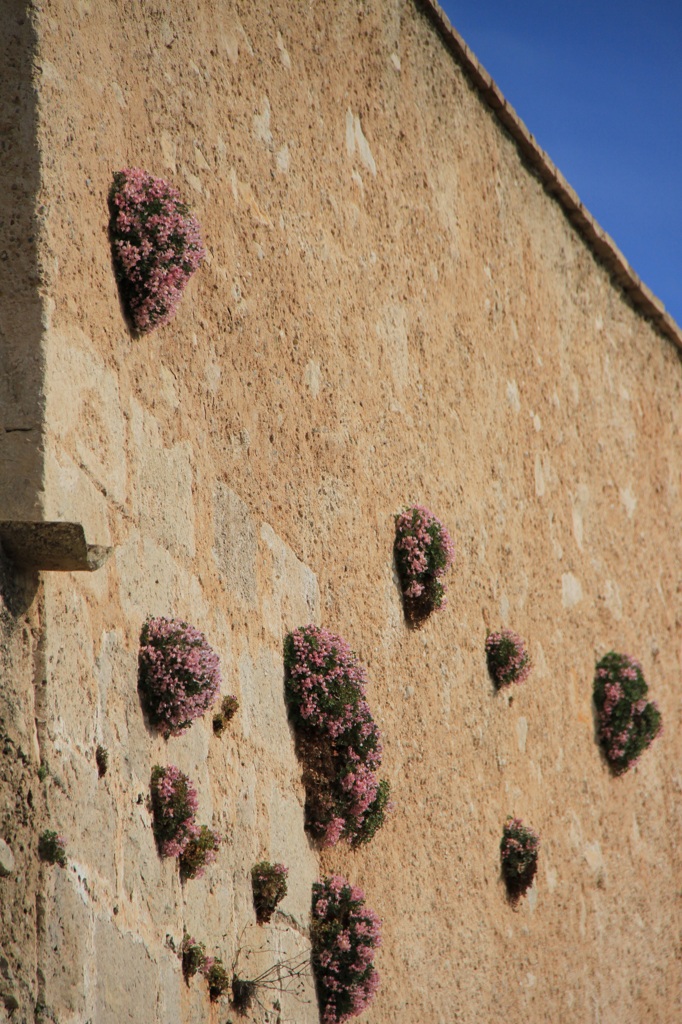 Castillo de Xátiva