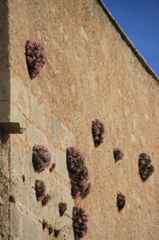Castillo de Xátiva