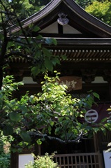 075 円覚寺