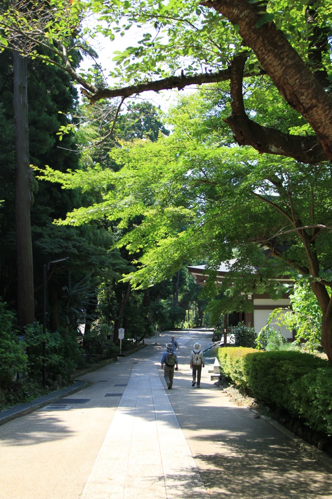 夏の散策