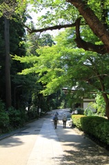 夏の散策