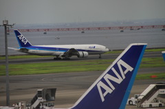 ANA全盛！