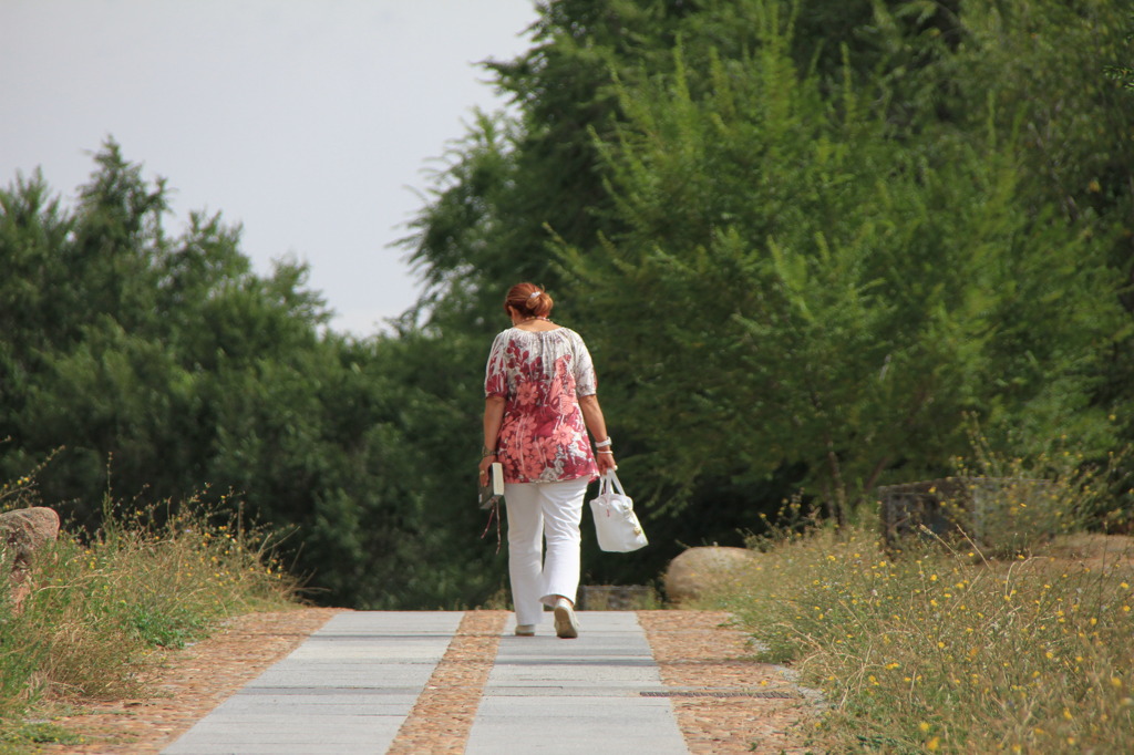 Paseo del Rastro