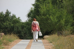 Paseo del Rastro