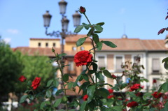 Plaza de Cervantes