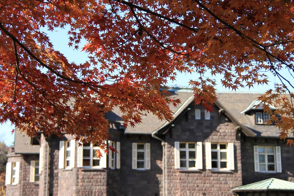 100 紅葉の向こう2