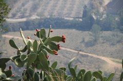 Castillo de Xátiva