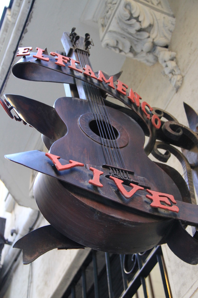 0960 El Flamenco Vive