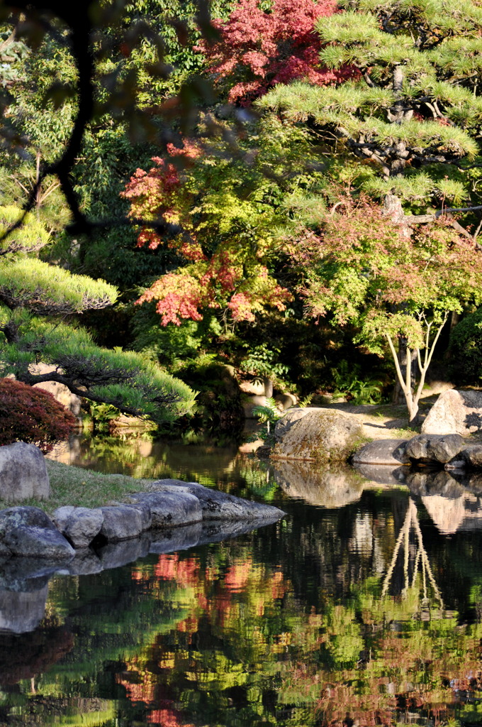 紅葉写り込み
