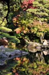 紅葉写り込み