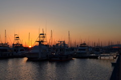 ヨットハーバーの夕景