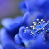 Deep Blue