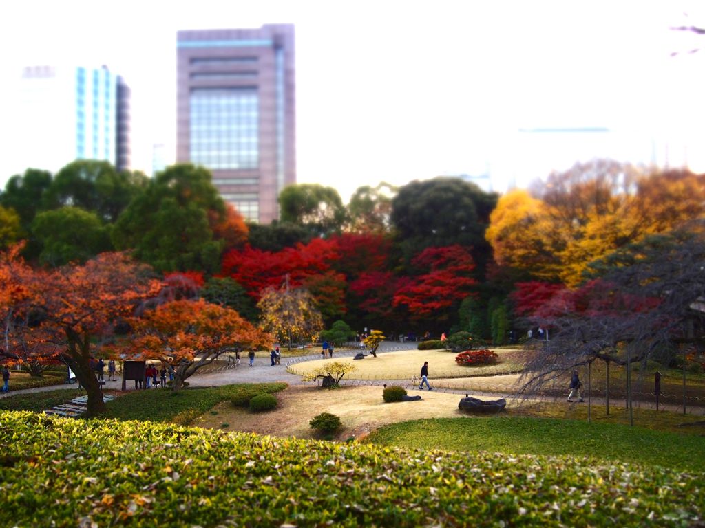 大都会で楽しむ紅葉