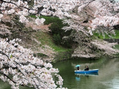 船上花見