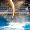 Jump!
