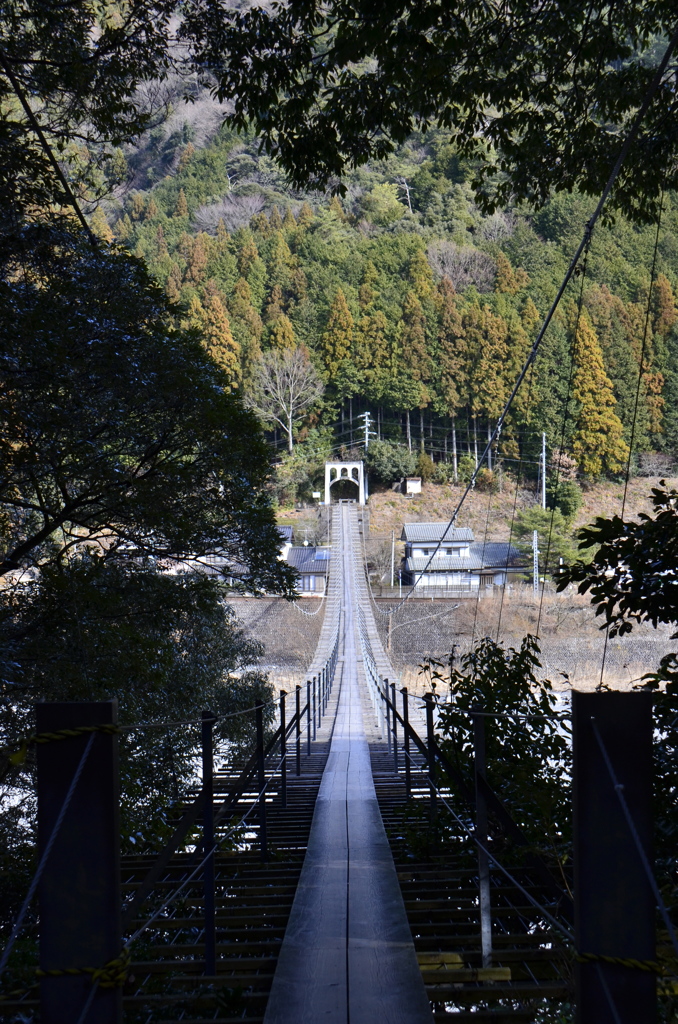 The long and Straight road