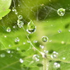 jewel