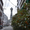 街中の秋