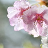 雨上がり
