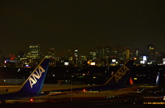 Osaka City Light From Airport