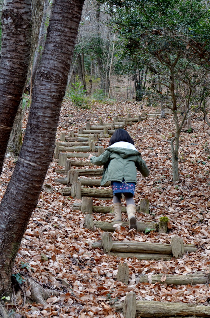 The Long And Winding Road