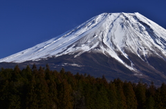 冬の朝霧高原より