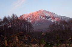 染まる岩木山