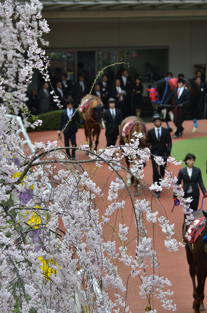 春競馬