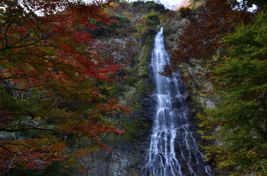 天滝の紅葉