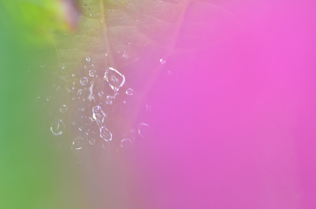 Crystal