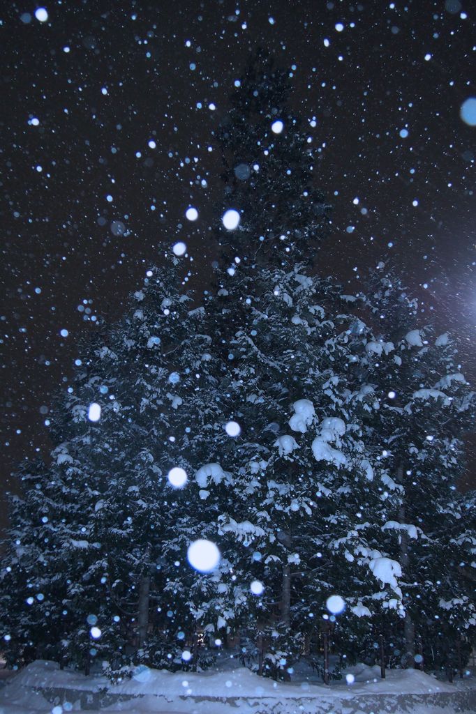 降りしきる雪