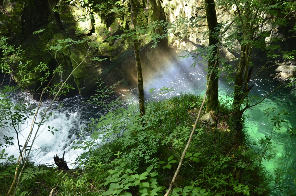 滝・虹・緑の流れ