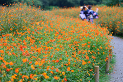 夏の名残