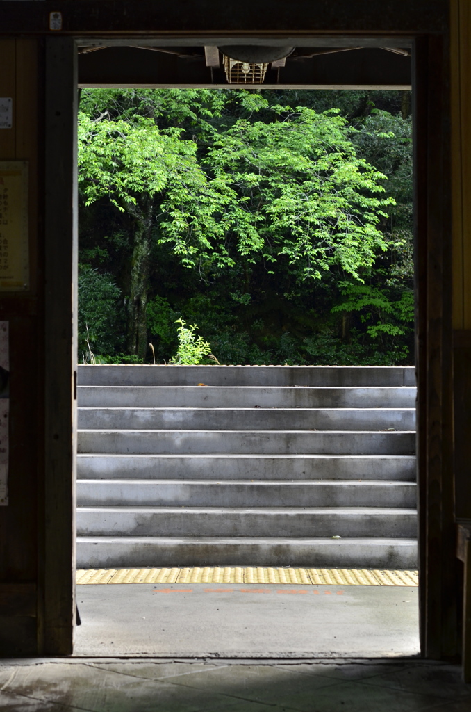 駅舎の新緑