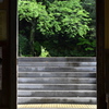 駅舎の新緑