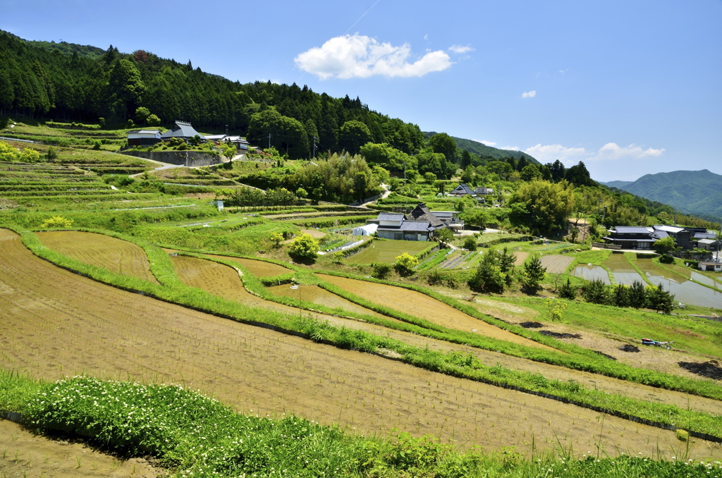 里山原風景2