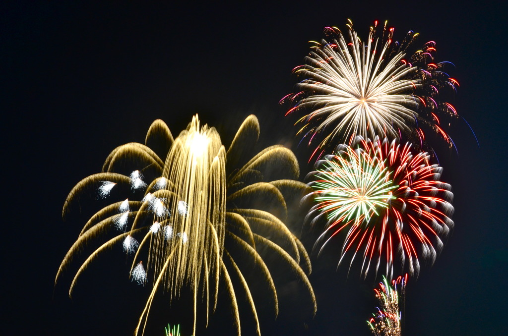 夜空に咲く花　２