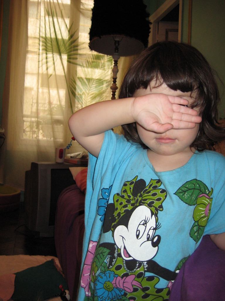 勝手に写しちゃダメ！