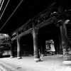 厳粛な