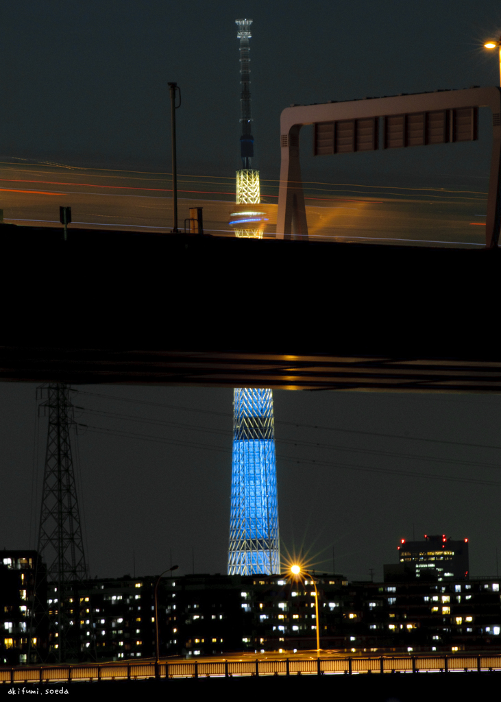 TOKYOBLUE