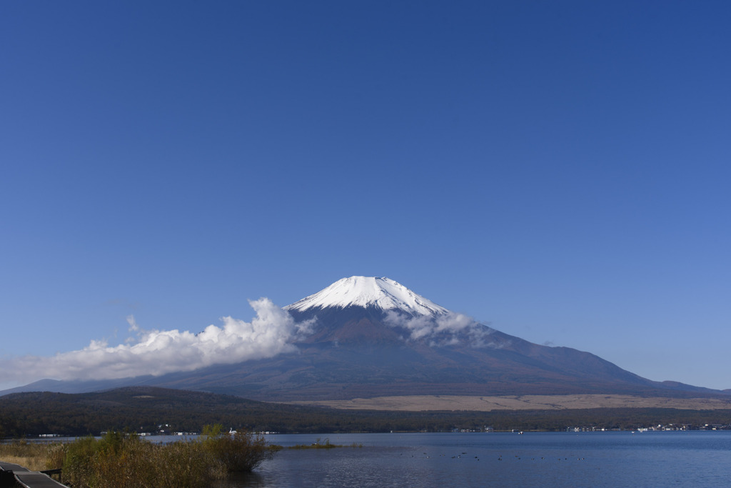 山中湖から富士山