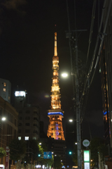 ただの東京タワー