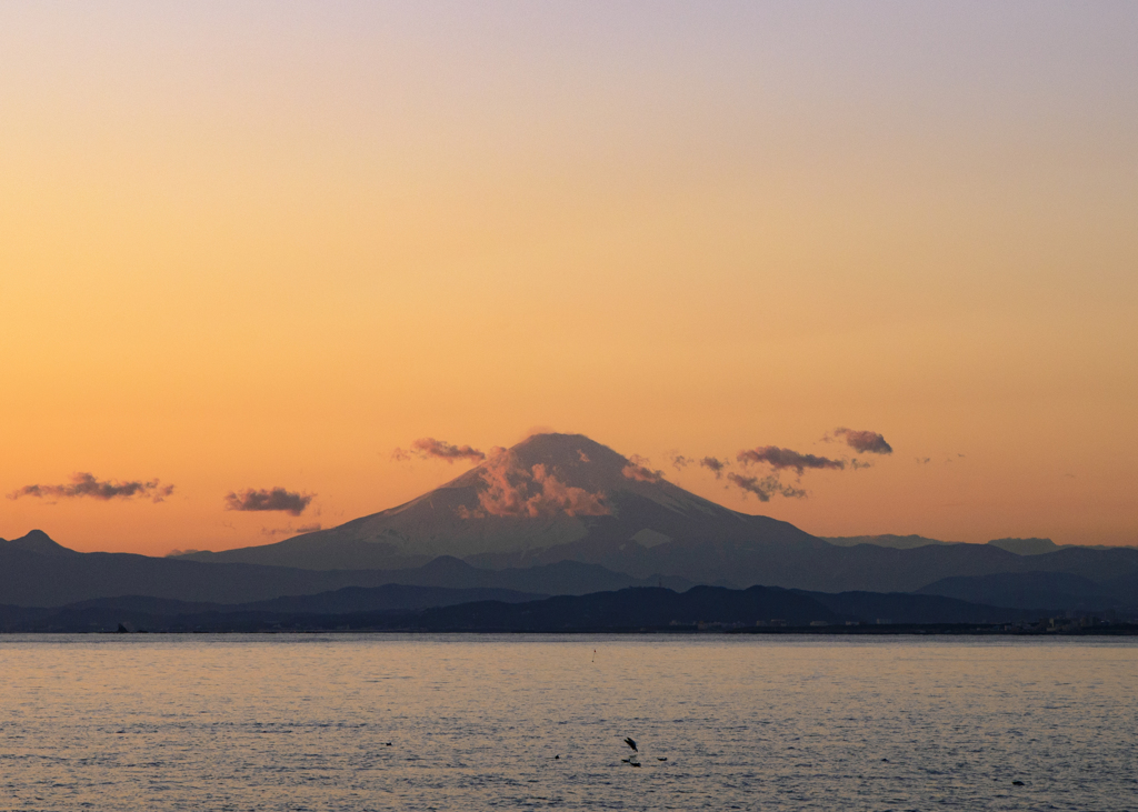 富士山って綺麗だよね