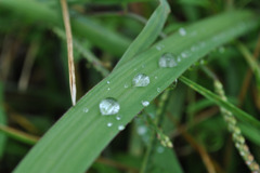 3つの水滴