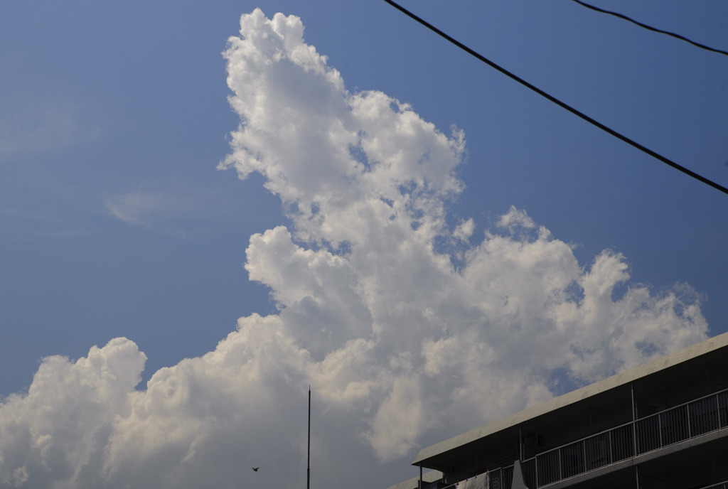 夏の雲