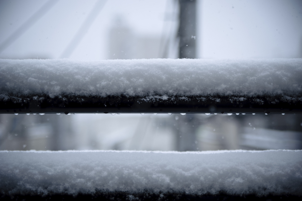 東京の雪