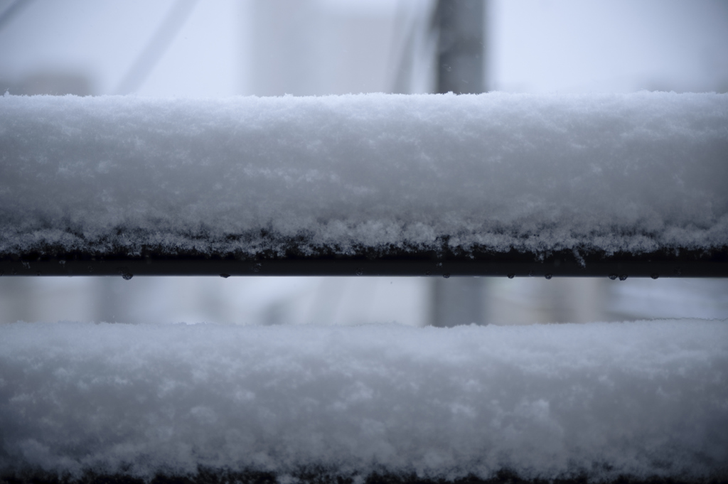 東京の雪　2時間半後