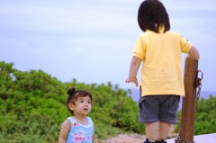 木いっぱいだね！