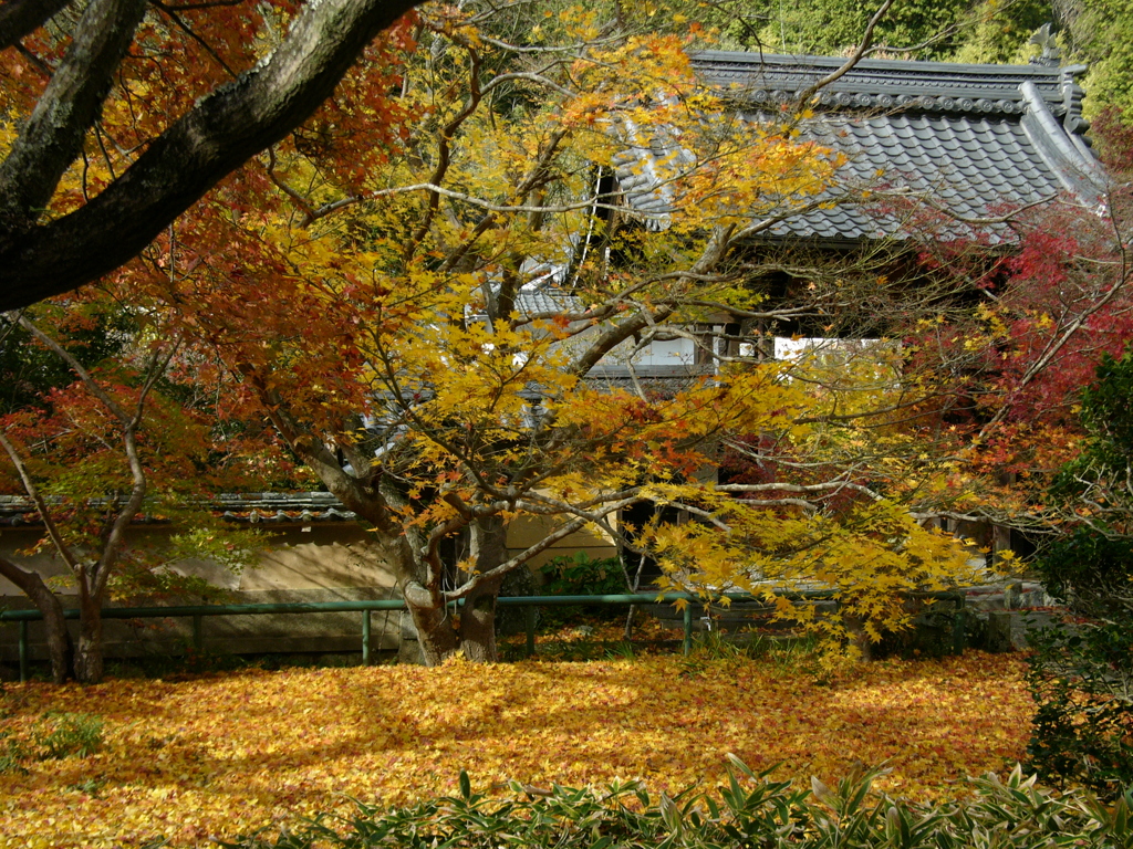 小野市　金剛堂